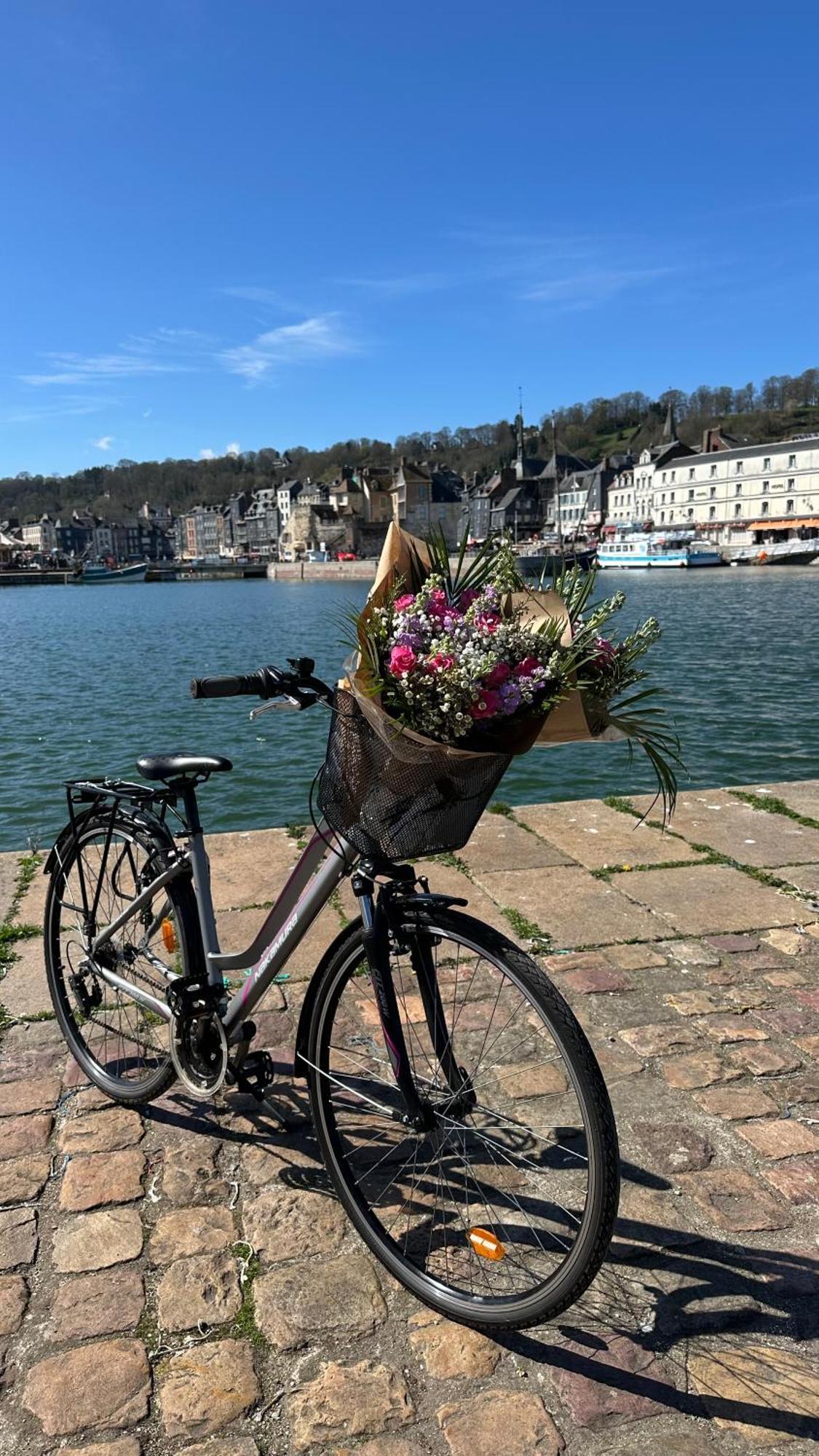 Les Calins D'Honfleur Lägenhet Exteriör bild